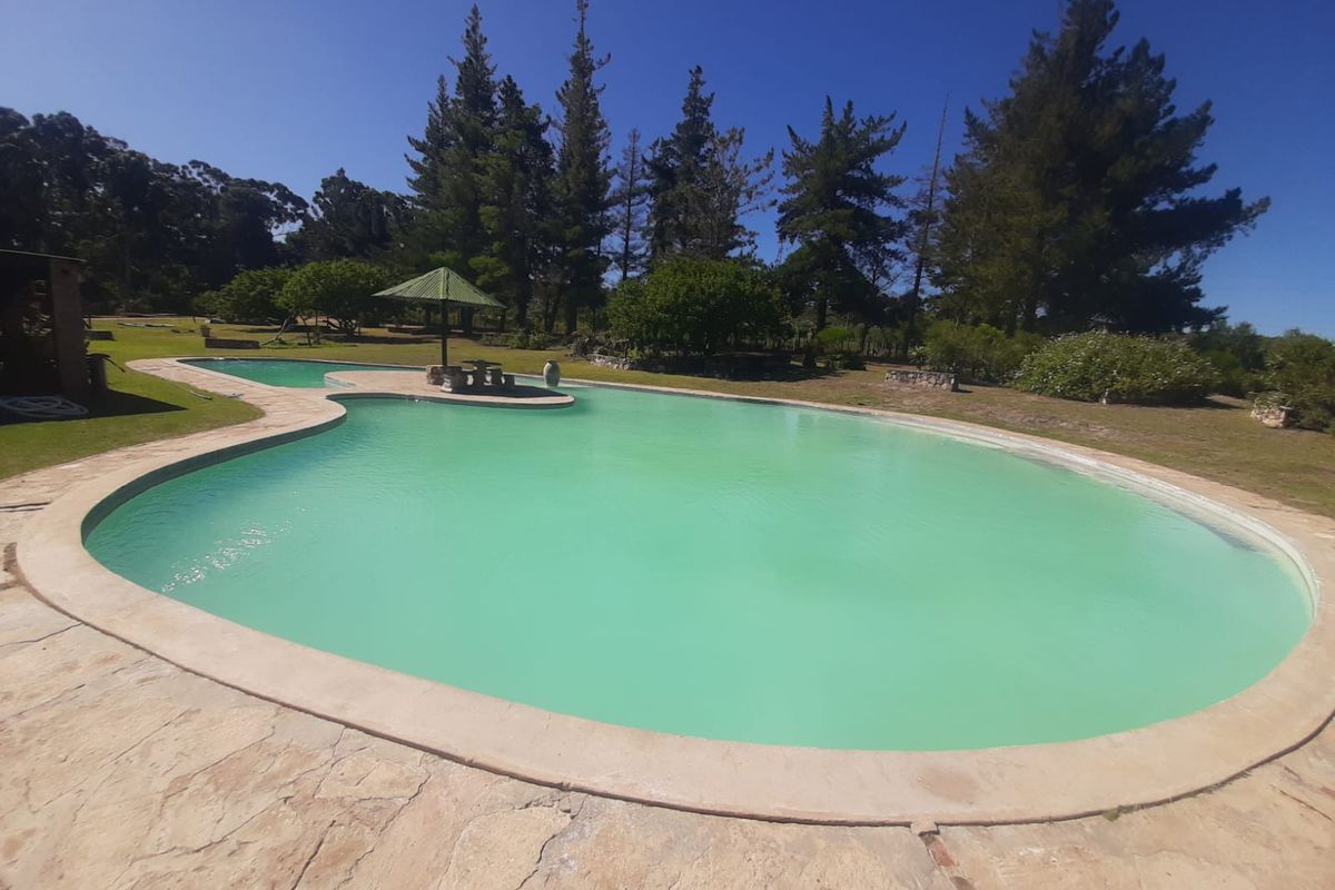 Large outdoor swimming pool featuring a central island with a fixed gazebo, surrounded by stone paving and mature garden landscaping.