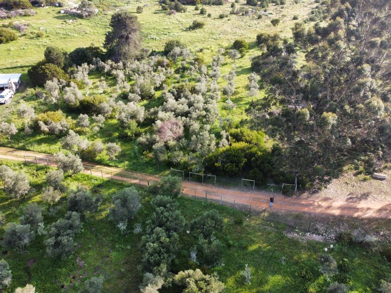An aerial view of a large vacant residential plot featuring established trees, natural vegetation, and a dirt access road with perimeter fencing.