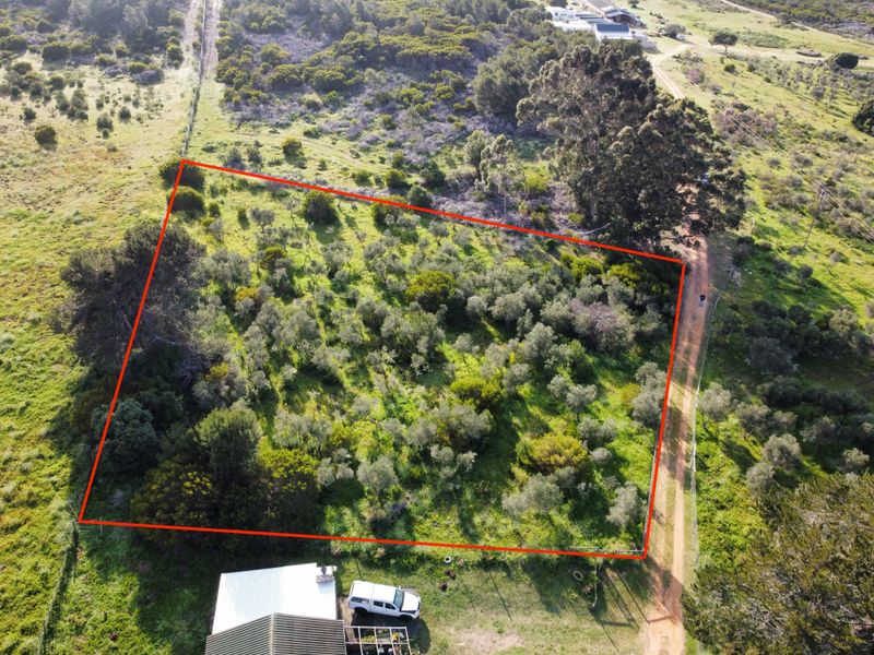 Aerial view of a vacant residential plot featuring established vegetation and direct access via a dirt road.