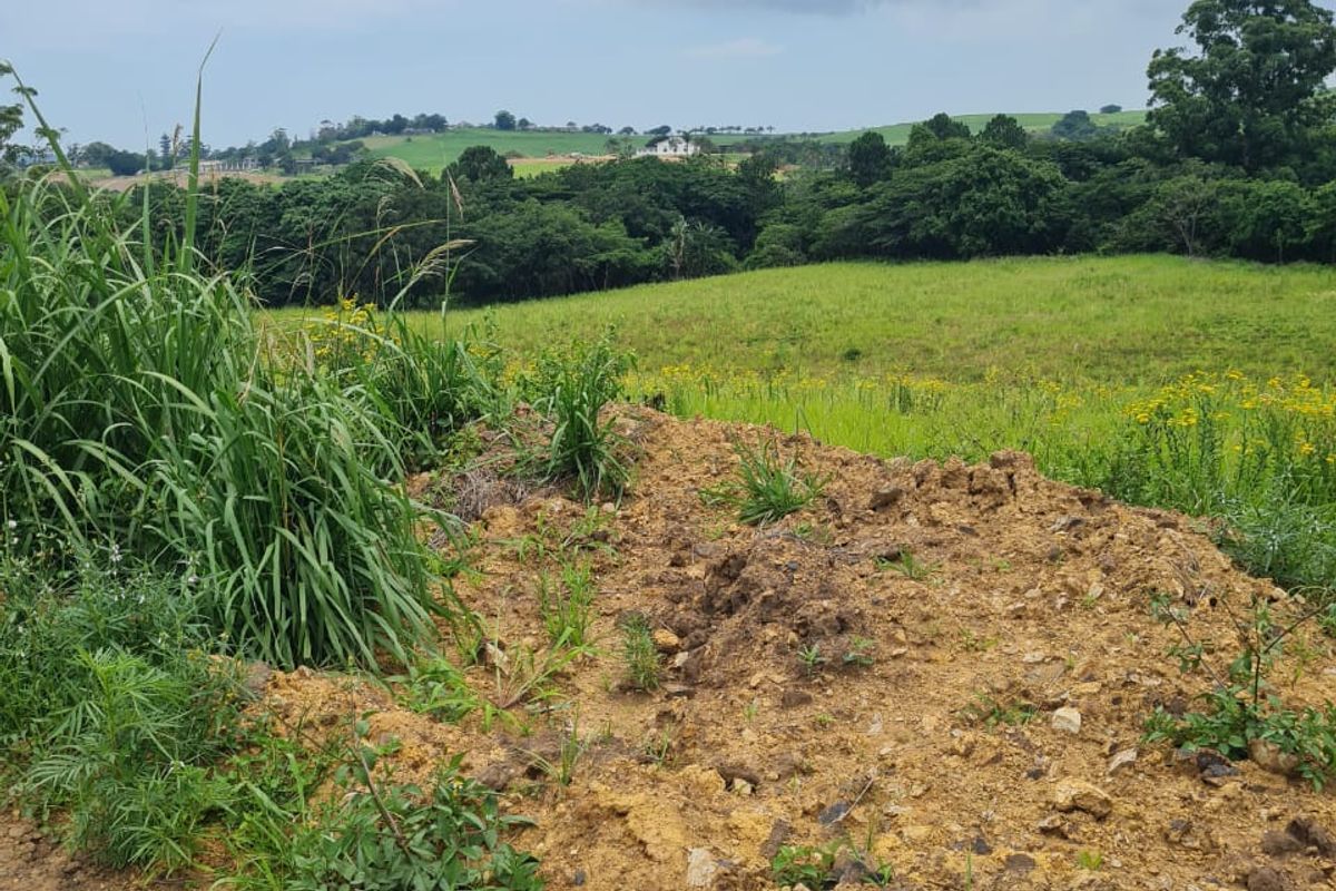 HELMSLEY COUNTRY ESTATE – NATURE | FAMILY | COUNTRY - Photo 3