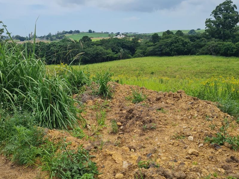 HELMSLEY COUNTRY ESTATE – NATURE | FAMILY | COUNTRY - Photo 3