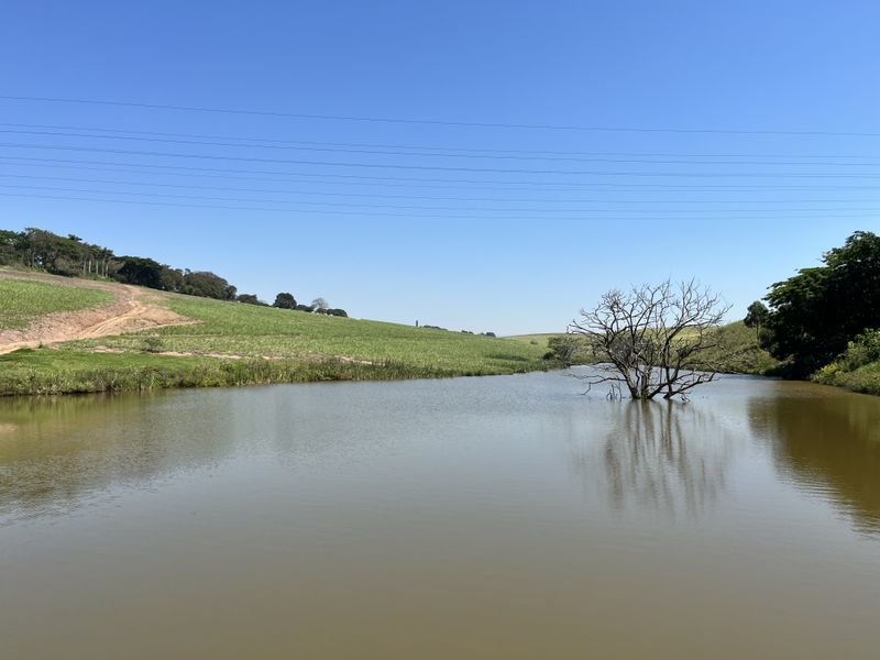HELMSLEY COUNTRY ESTATE – NATURE | FAMILY | COUNTRY - Photo 10