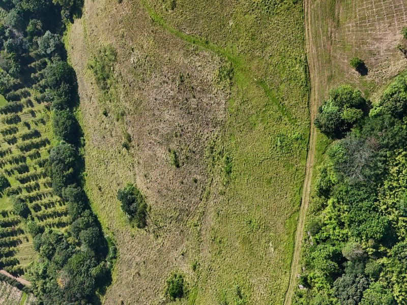 HELMSLEY COUNTRY ESTATE – NATURE | FAMILY | COUNTRY - Photo 8