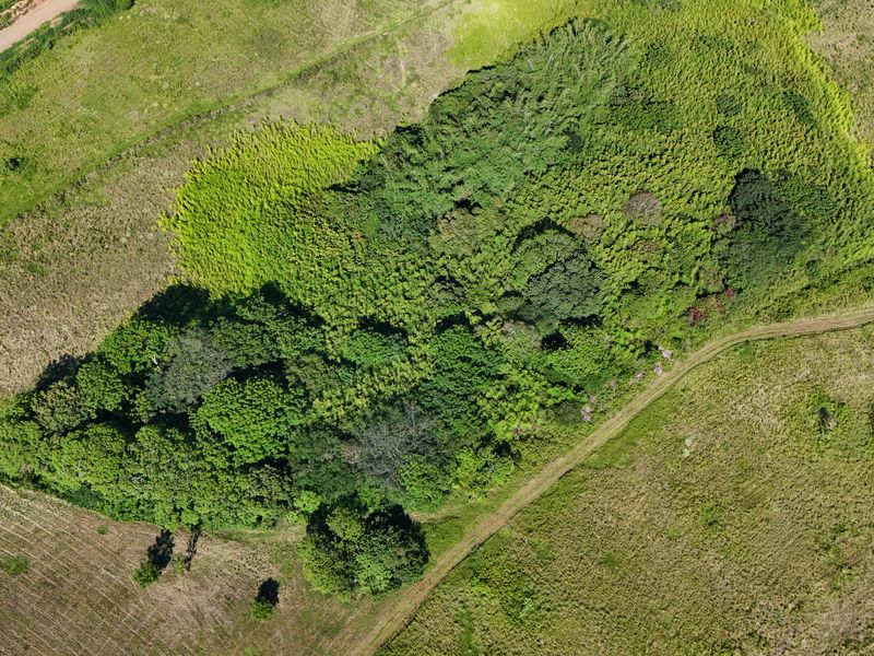 HELMSLEY COUNTRY ESTATE – NATURE | FAMILY | COUNTRY - Photo 6