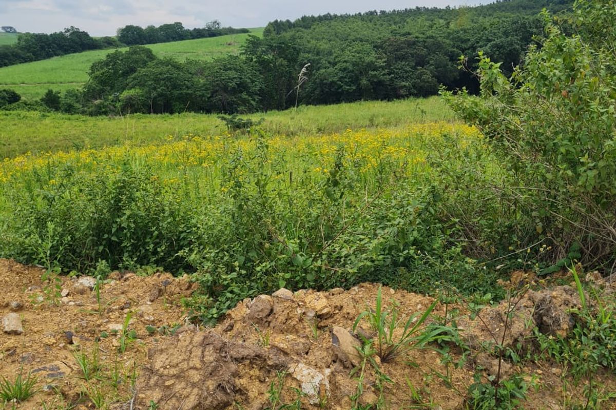 HELMSLEY COUNTRY ESTATE – NATURE | FAMILY | COUNTRY - Photo 4