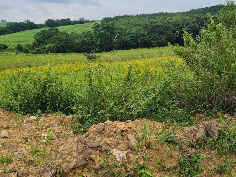 HELMSLEY COUNTRY ESTATE – NATURE | FAMILY | COUNTRY - Photo 4