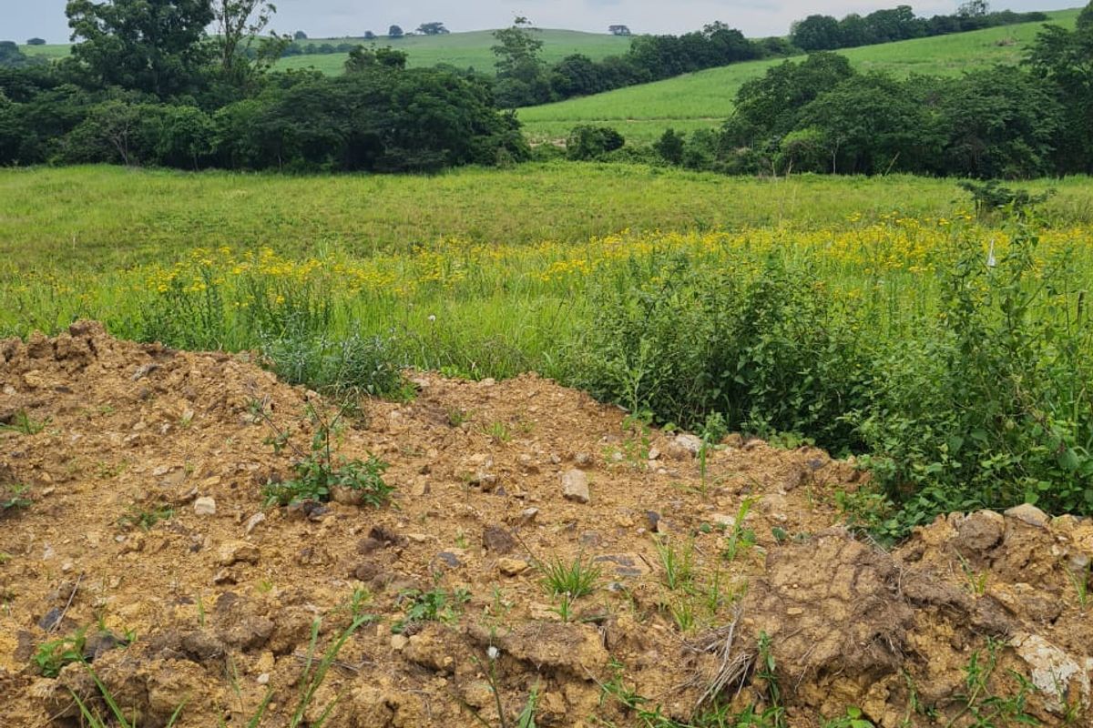 HELMSLEY COUNTRY ESTATE – NATURE | FAMILY | COUNTRY - Photo 2