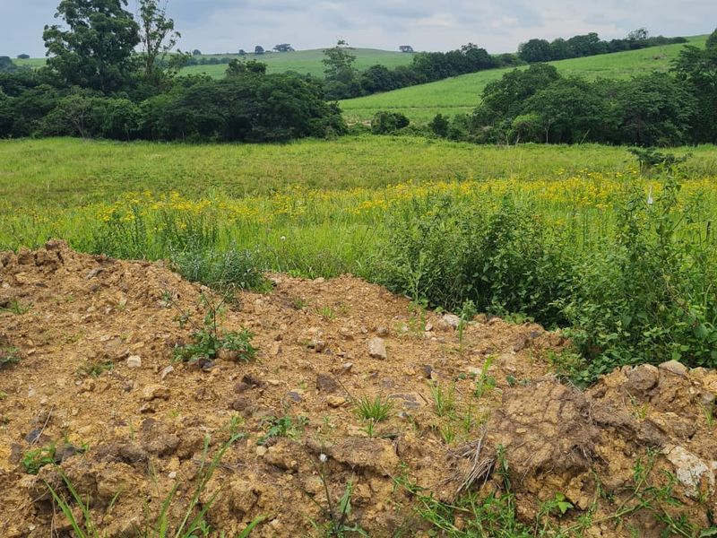 HELMSLEY COUNTRY ESTATE – NATURE | FAMILY | COUNTRY - Photo 2