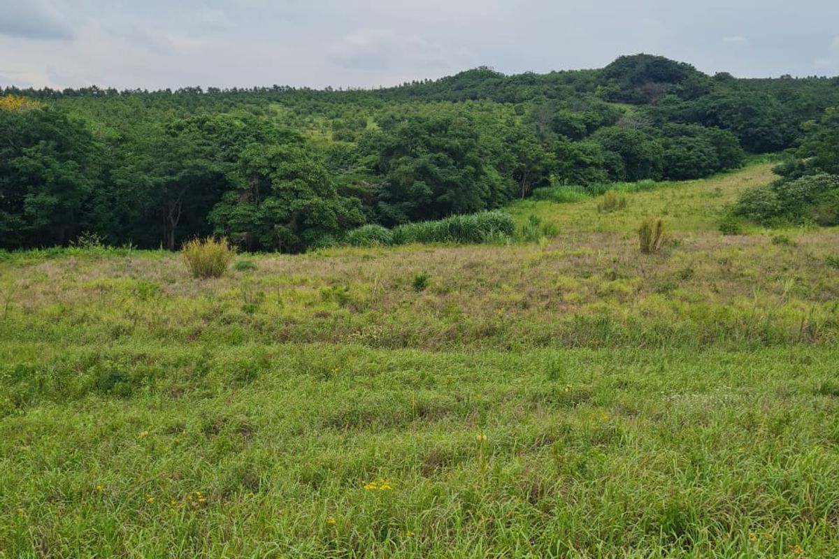 HELMSLEY COUNTRY ESTATE – NATURE | FAMILY | COUNTRY - Photo 3