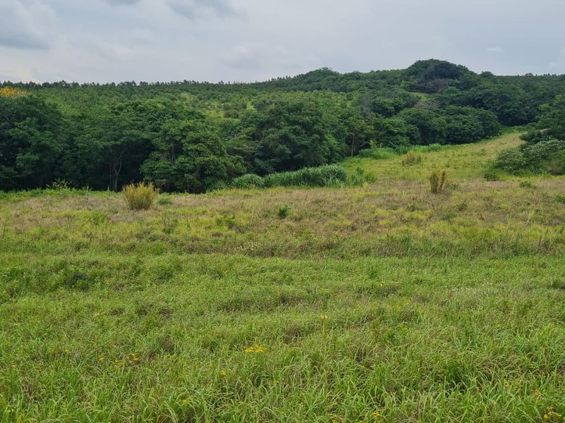 HELMSLEY COUNTRY ESTATE – NATURE | FAMILY | COUNTRY - Photo 3