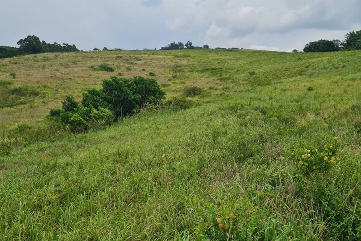 HELMSLEY COUNTRY ESTATE – NATURE | FAMILY | COUNTRY - Photo 4