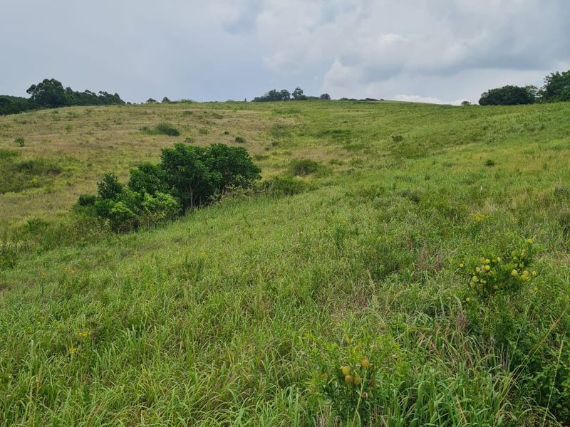 HELMSLEY COUNTRY ESTATE – NATURE | FAMILY | COUNTRY - Photo 4