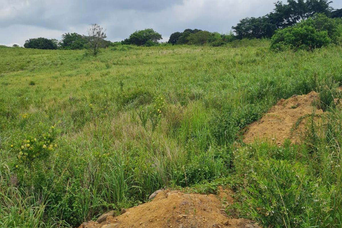 HELMSLEY COUNTRY ESTATE – NATURE | FAMILY | COUNTRY - Photo 2