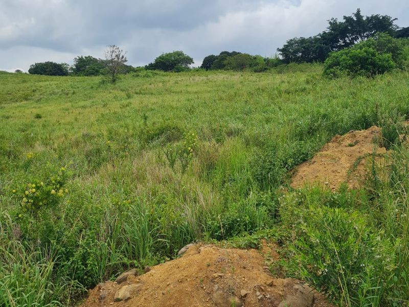 HELMSLEY COUNTRY ESTATE – NATURE | FAMILY | COUNTRY - Photo 2