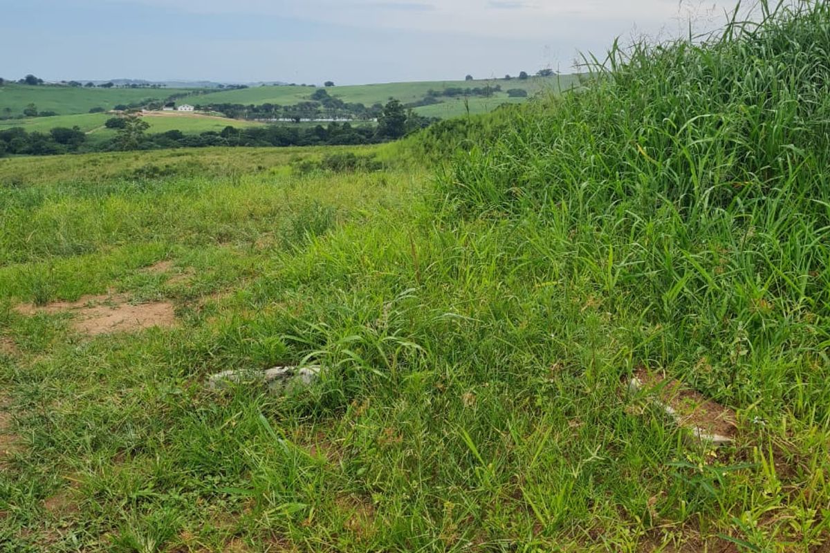 HELMSLEY COUNTRY ESTATE – NATURE | FAMILY | COUNTRY - Photo 2