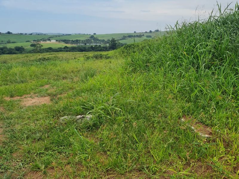 HELMSLEY COUNTRY ESTATE – NATURE | FAMILY | COUNTRY - Photo 2