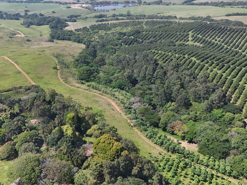 Aerial view of a large residential land parcel featuring extensive green space, mature trees, and established agricultural or orchard plantings.