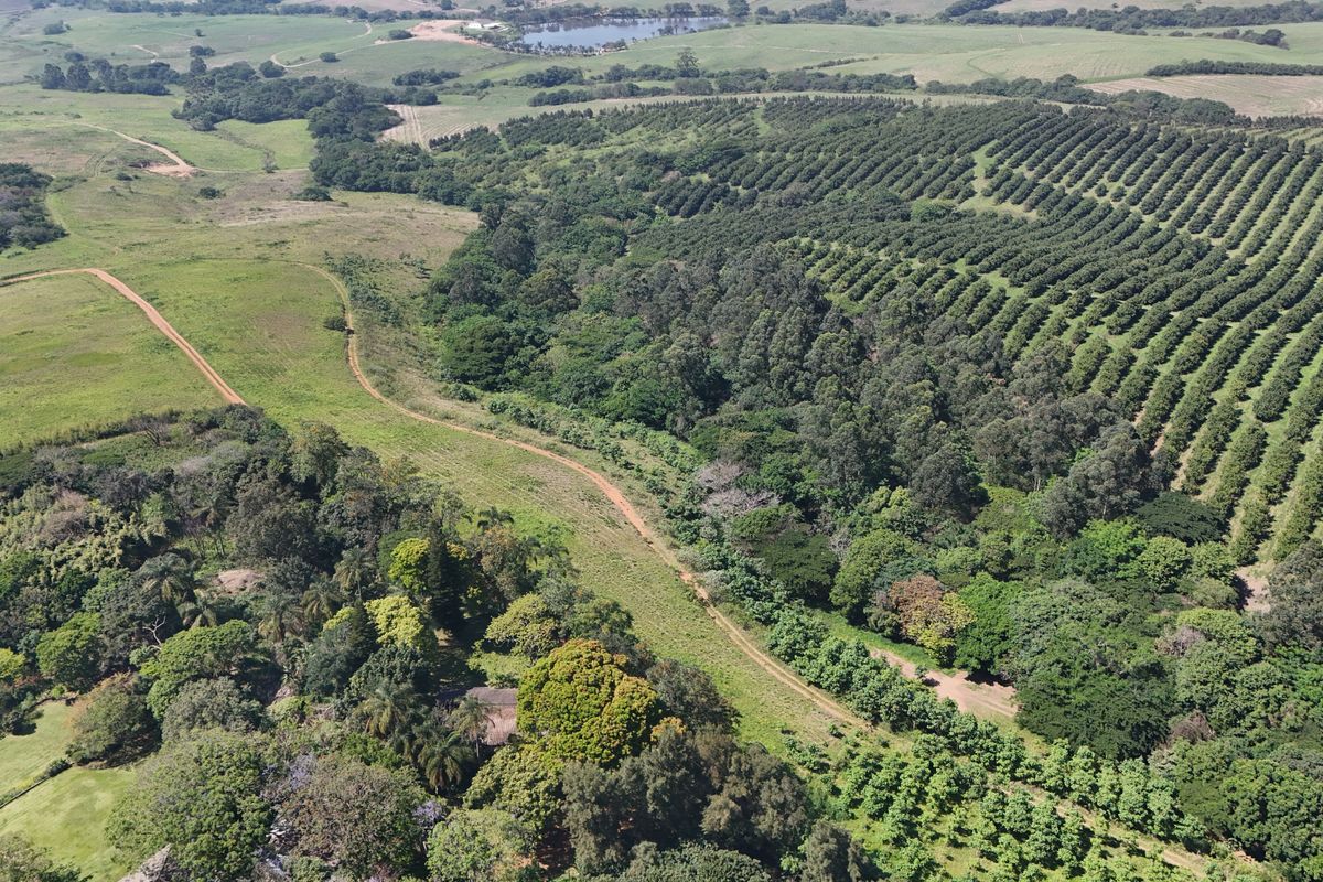Aerial view of a large residential land parcel featuring extensive green space, mature trees, and established agricultural or orchard plantings.