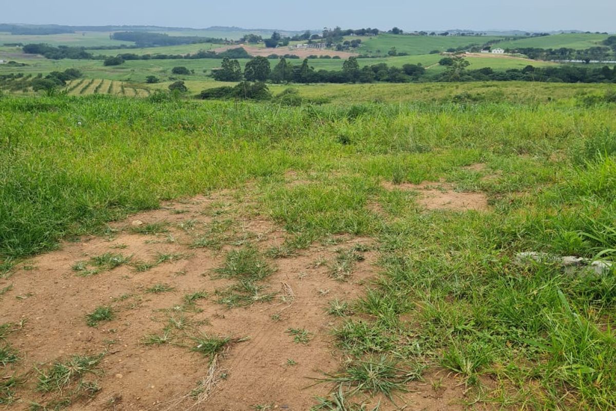 HELMSLEY COUNTRY ESTATE – NATURE | FAMILY | COUNTRY - Photo 3