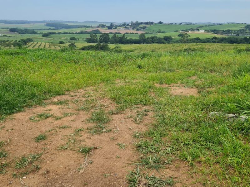 HELMSLEY COUNTRY ESTATE – NATURE | FAMILY | COUNTRY - Photo 3