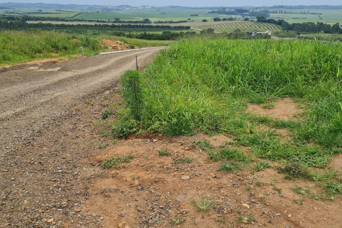 HELMSLEY COUNTRY ESTATE – NATURE | FAMILY | COUNTRY - Photo 4