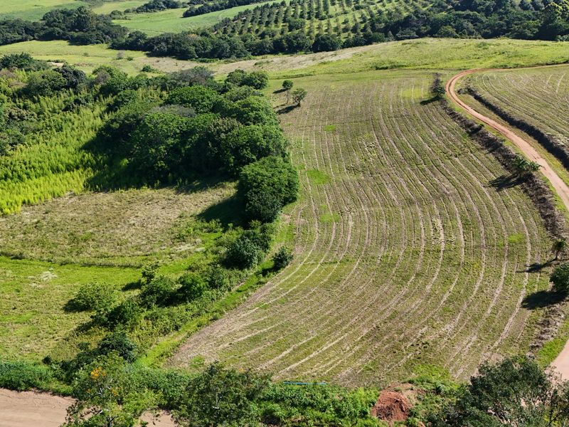 Helmsley Country Estate – Nature | Family | Country - Photo 6