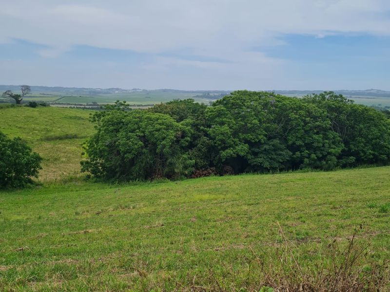 Helmsley Country Estate – Nature | Family | Country - Photo 2