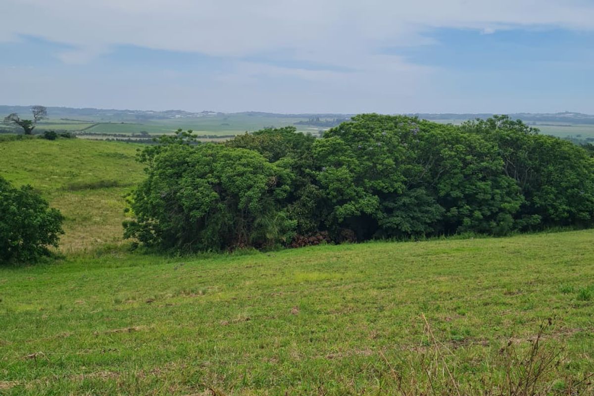 Helmsley Country Estate – Nature | Family | Country - Photo 2