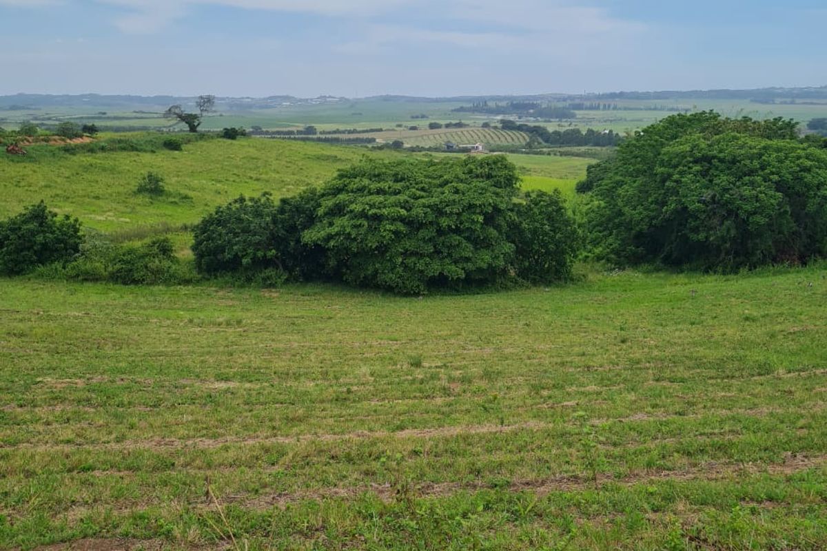 HELMSLEY COUNTRY ESTATE – NATURE | FAMILY | COUNTRY - Photo 4