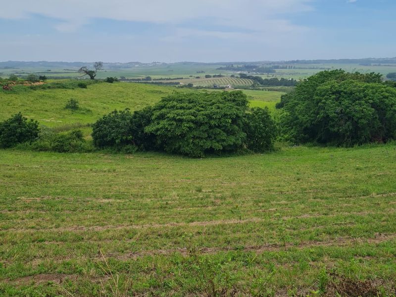 HELMSLEY COUNTRY ESTATE – NATURE | FAMILY | COUNTRY - Photo 4