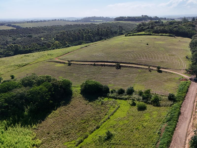 HELMSLEY COUNTRY ESTATE – NATURE | FAMILY | COUNTRY - Photo 8