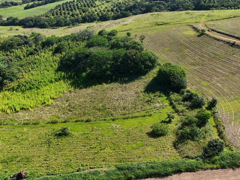 HELMSLEY COUNTRY ESTATE – NATURE | FAMILY | COUNTRY - Photo 6