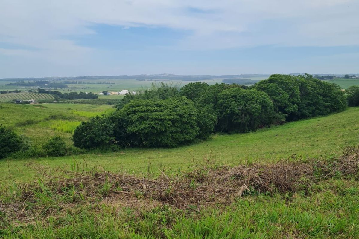 HELMSLEY COUNTRY ESTATE – NATURE | FAMILY | COUNTRY - Photo 2