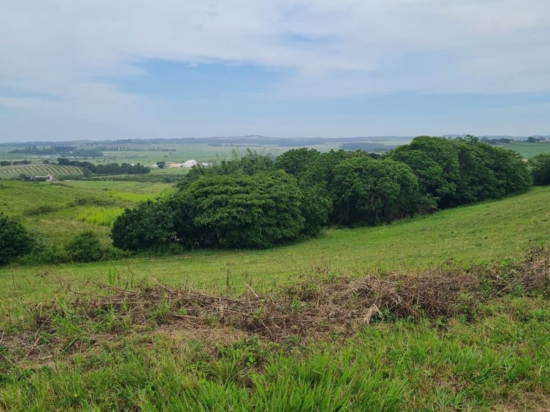 HELMSLEY COUNTRY ESTATE – NATURE | FAMILY | COUNTRY - Photo 2