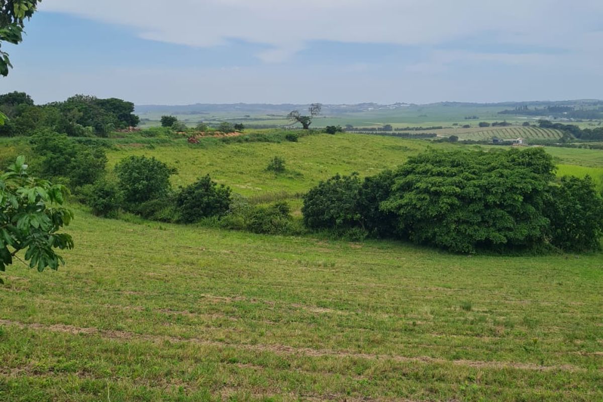 HELMSLEY COUNTRY ESTATE – NATURE | FAMILY | COUNTRY - Photo 3