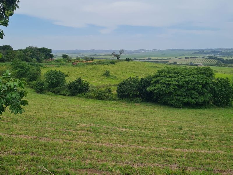 HELMSLEY COUNTRY ESTATE – NATURE | FAMILY | COUNTRY - Photo 3