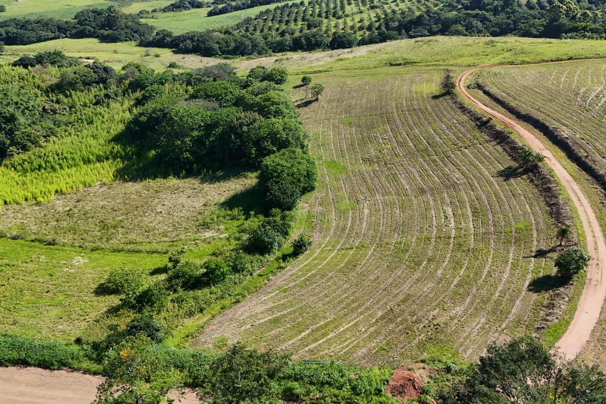 HELMSLEY COUNTRY ESTATE – NATURE | FAMILY | COUNTRY - Photo 5