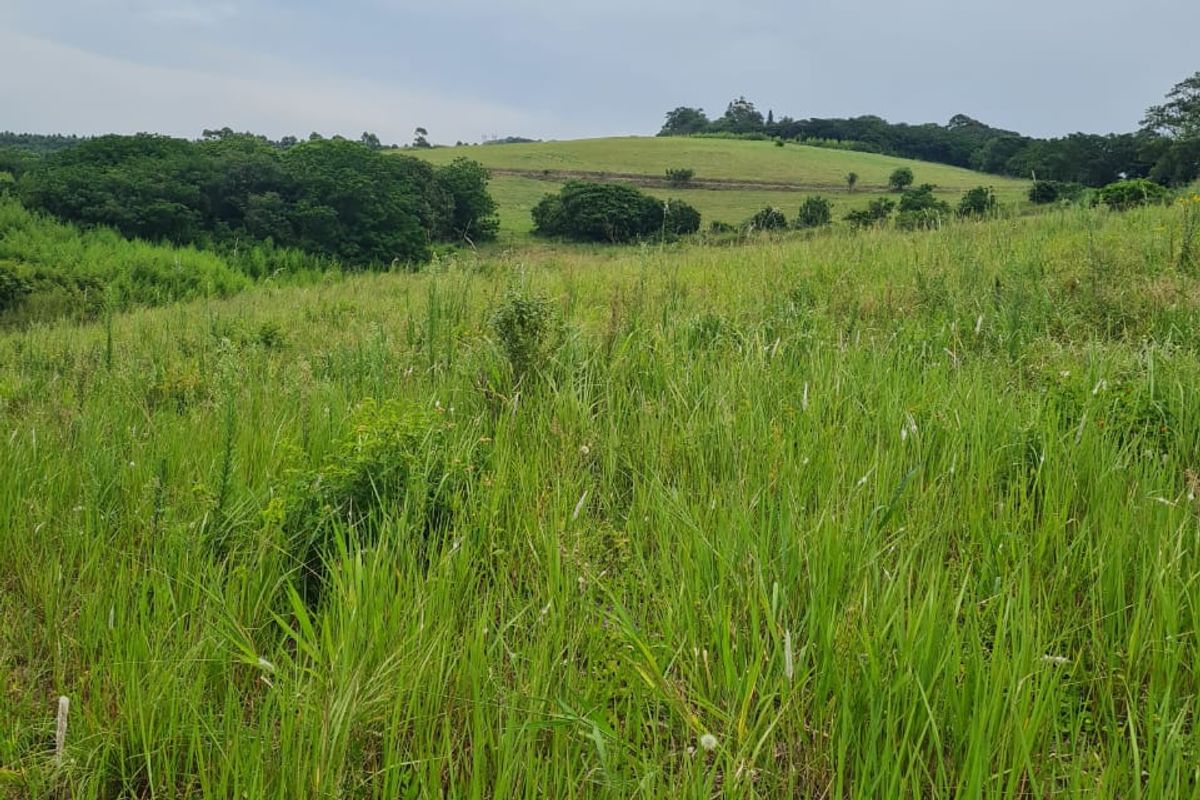 HELMSLEY COUNTRY ESTATE – NATURE | FAMILY | COUNTRY - Photo 4