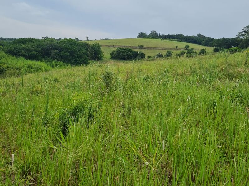 HELMSLEY COUNTRY ESTATE – NATURE | FAMILY | COUNTRY - Photo 4