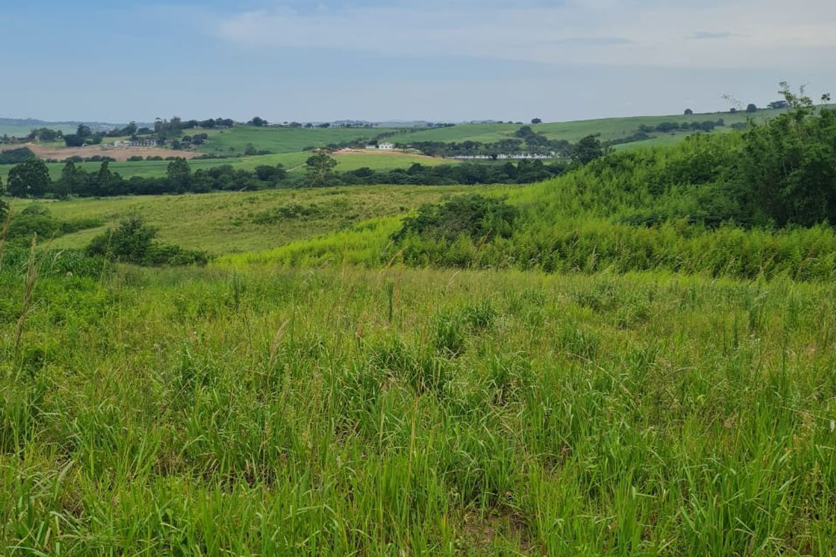 HELMSLEY COUNTRY ESTATE – NATURE | FAMILY | COUNTRY - Photo 3