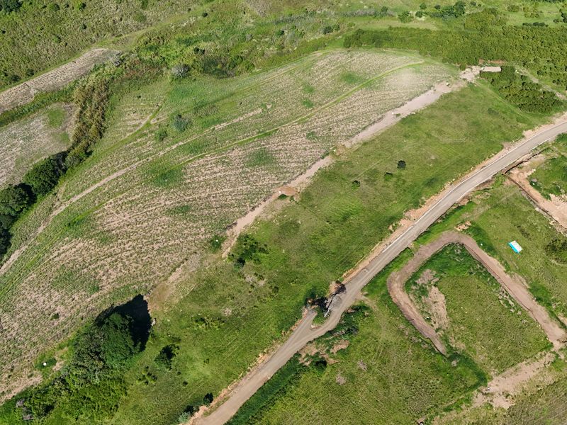 HELMSLEY COUNTRY ESTATE – NATURE | FAMILY | COUNTRY - Photo 10