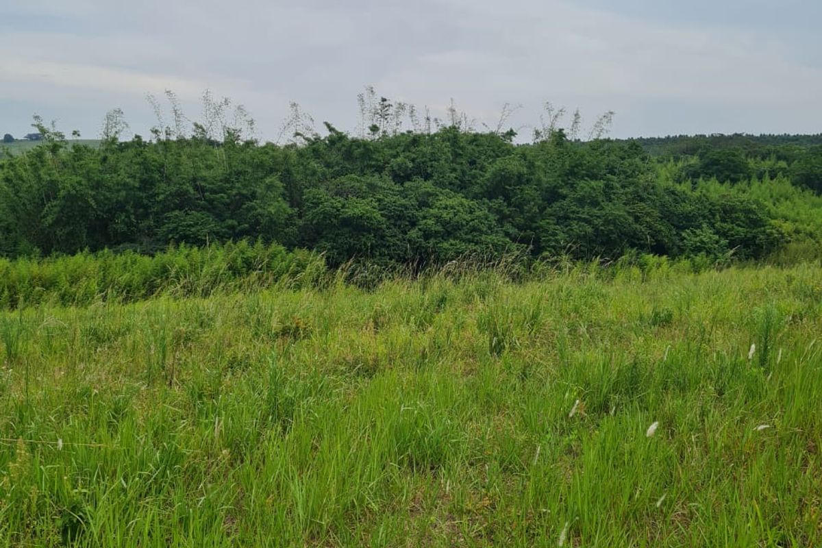 HELMSLEY COUNTRY ESTATE – NATURE | FAMILY | COUNTRY - Photo 2