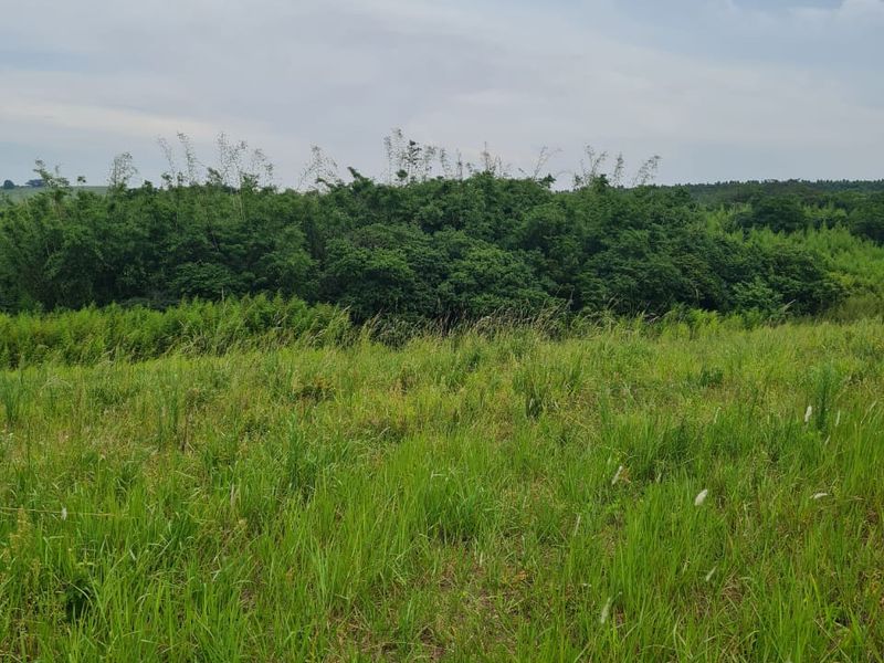 HELMSLEY COUNTRY ESTATE – NATURE | FAMILY | COUNTRY - Photo 2