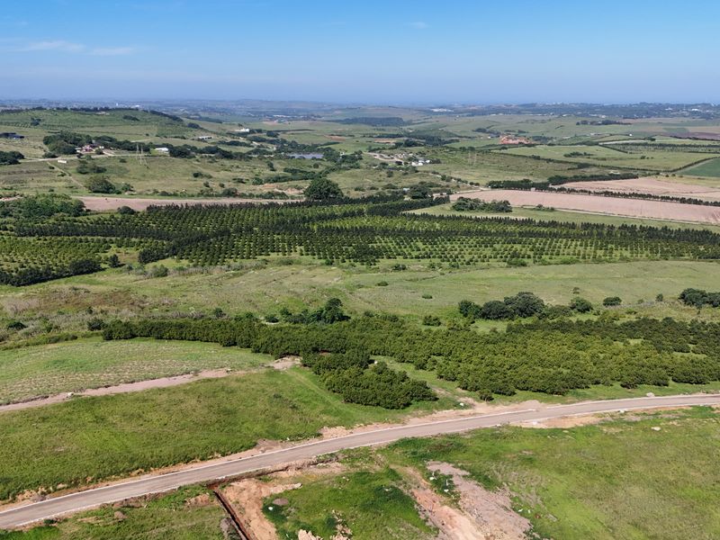 HELMSLEY COUNTRY ESTATE – NATURE | FAMILY | COUNTRY - Photo 5