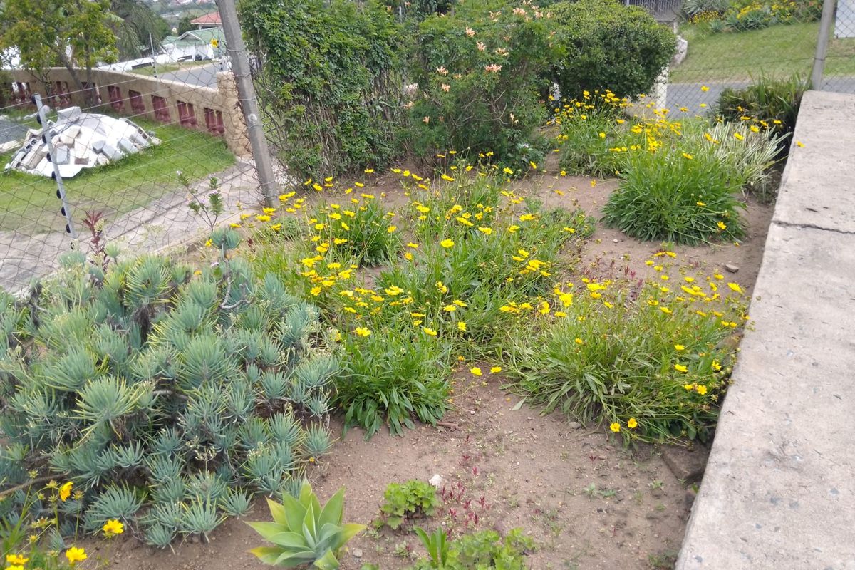 Modern  3 -Bedroom Family  Home in High Ridge - Photo 4