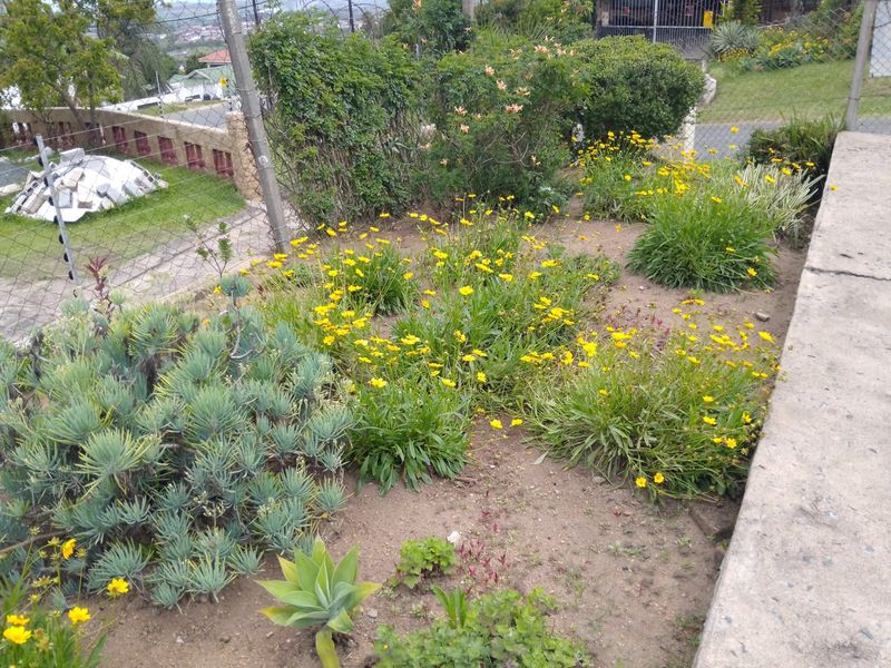 Modern  3 -Bedroom Family  Home in High Ridge - Photo 4