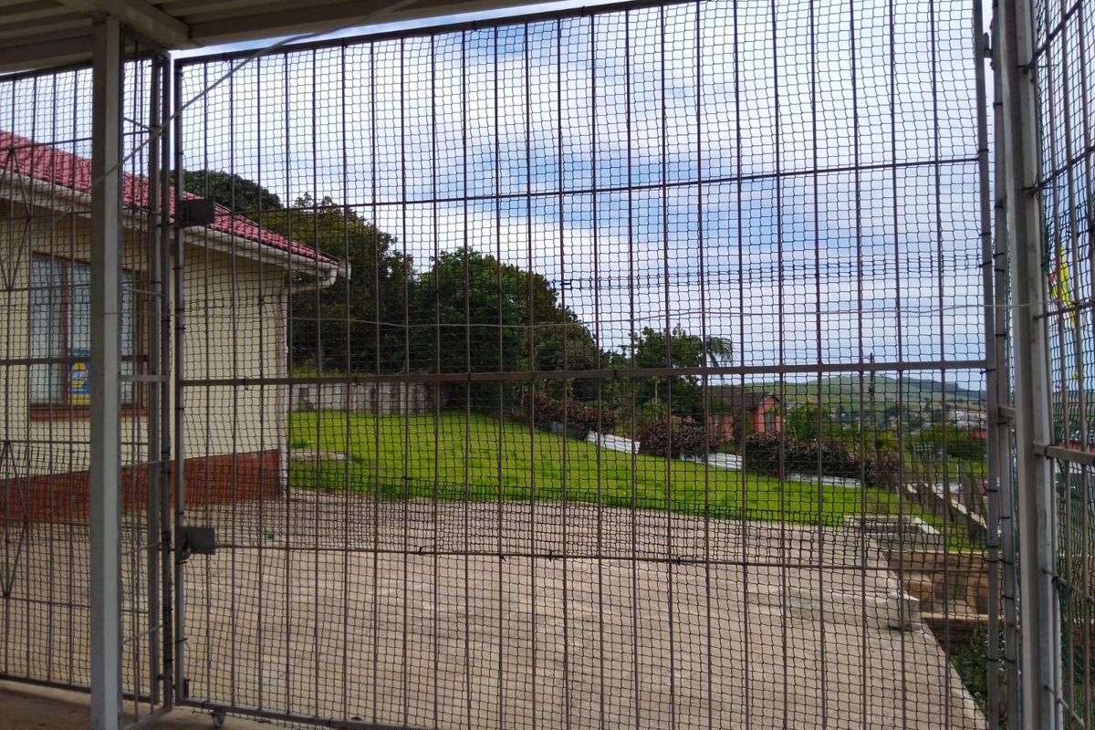 Modern  3 -Bedroom Family  Home in High Ridge - Photo 3