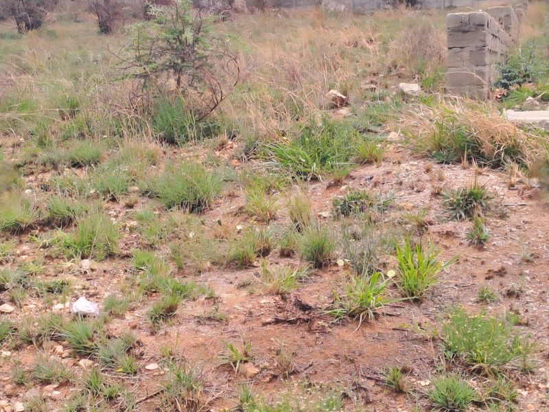 Vacant Land / Plot for Sale in Sterpark - Photo 6