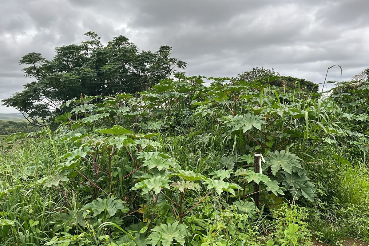 HELMSLEY COUNTRY ESTATE – NATURE | FAMILY | COUNTRY - Photo 3