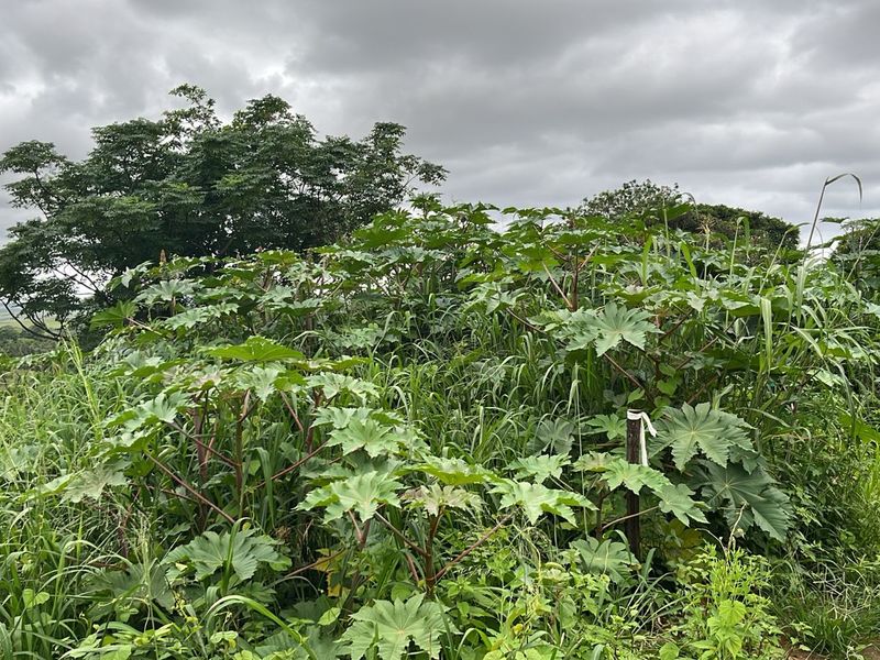 HELMSLEY COUNTRY ESTATE – NATURE | FAMILY | COUNTRY - Photo 3